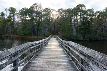Plakat wooden bridge over lake