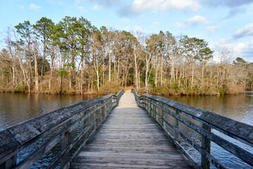 wooden bridge over lake