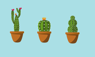 cactus in a pot illustration 