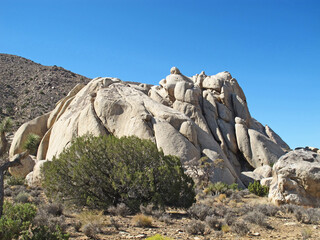 Joshua Tree National Park, America