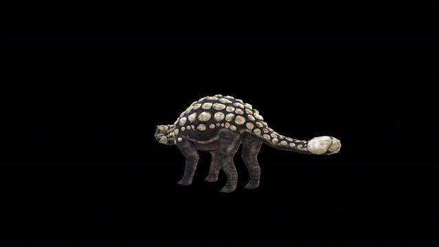 Dinosaur Ankylosaurus Idle 3D Animation Video Transparent Alpha