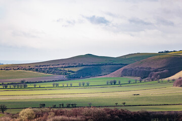 Fototapeta premium beautiful landscape around the Pewsey, Wiltshire, South of England