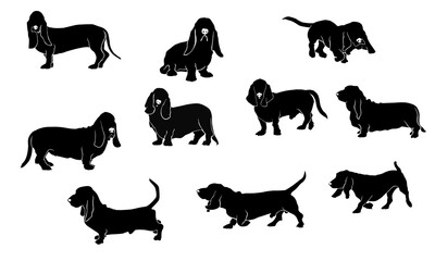 Basset Hound Set