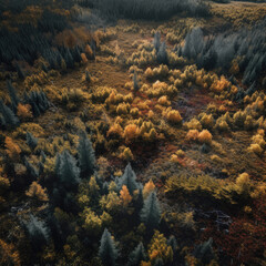 Fototapeta na wymiar Aerial view of a forest-Drone shot of a Landscape-Generative AI