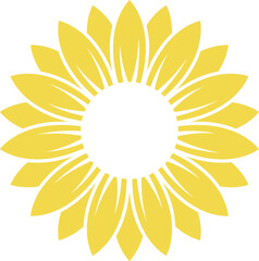 Sunflower isolated on white background