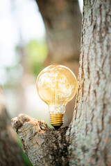 abstract light bulb with tree in the forest.