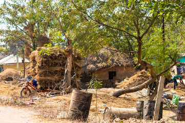 Typical hayloft in India. Haystack and farmer's house. Collection of dry hay in the traditional indian way in a haystack outside rural Indian farming house.