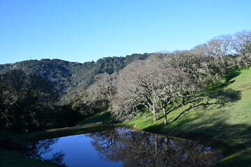 lake in the mountains