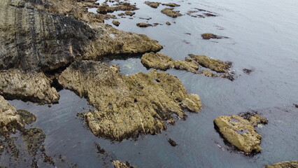 Rocky shore. Big rocks, water. Seascape. Brown rock formation on body of water