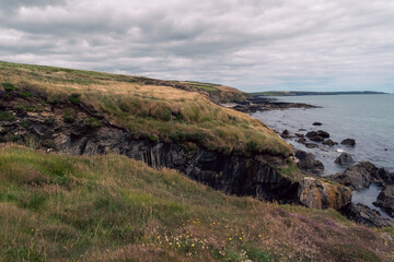 Fototapeta na wymiar Picturesque Irish seaside landscape. Wild vegetation grows on stony soil. Cloudy sky, coast. Views on the wild Atlantic way.