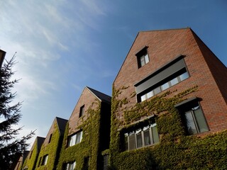 architecture, building, amsterdam style, summer, city