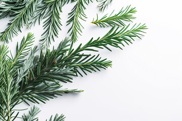 Naklejka na ściany i meble Christmas tree branches decorated on white background. - Holiday season, festive celebration, winter.