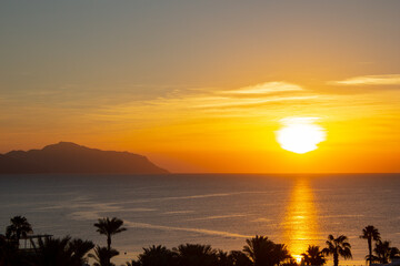 Sunrising over the red sea in Sharm el Sheikh, Egypt. Palm trees are silhouetted as the sun comes up over the ocean.