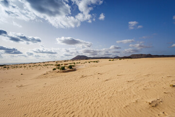 Sand dunes in the Parque Natural de Corralejo on the island of Fuerteventura