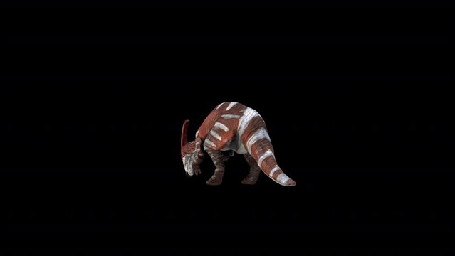 Dinosaur Parasaurolophus Eat Loop 3D Animation Video Transparent Alpha