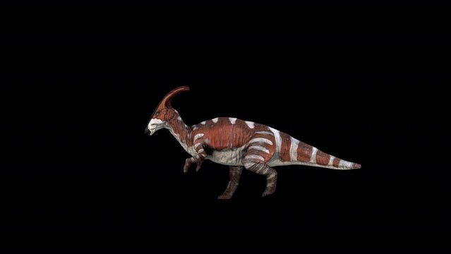 Dinosaur Parasaurolophus Run Loop 3D Animation Video Transparent Alpha