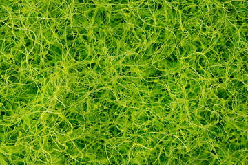 Macro photo of the surface of a blue sponge for washing dishes. Abstract image of a macro sponge