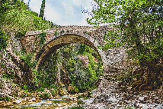 bridge over the river