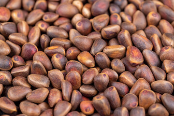 a bunch of pine nuts in the shell