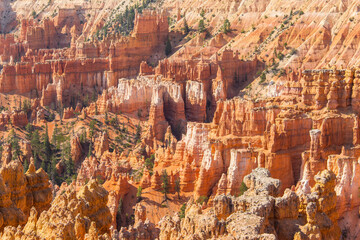 Views of hoodoos and orange rocks at Bryce Canyon national park.