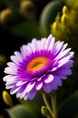 Fototapeta premium flor