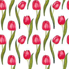 Hand drawn watercolor painting with red tulip flowers. Repeating spring print for textiles, wallpapers. Delicate and beautiful background.