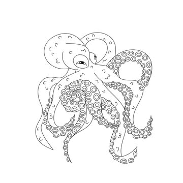 Octopus in a minimalist style in outline on a transparent background. Isolated. Design element.	