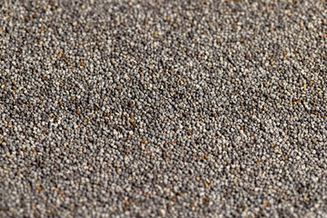 Poppy seeds on the table close up
