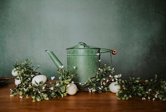 Green watering can with spring flowers, herbs, willow catkins and easter eggs composition on a vintage wooden old table 