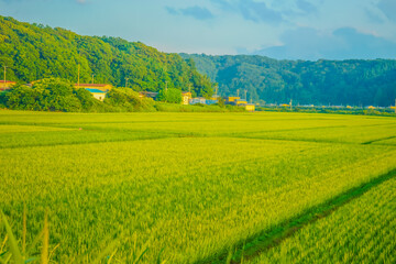 青森の田園風景