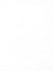 Dust & Noise Texture Overlay