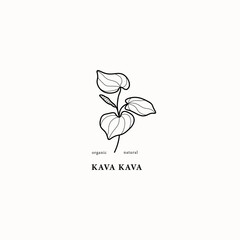 Line art kava kava plant illustration