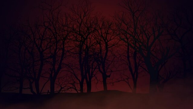 Dark mystical forest in night in red blood sky, motion mystical and horror style background