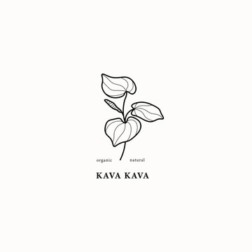Line art kava kava plant illustration