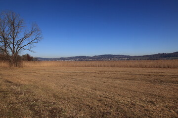 Obraz premium Blick auf den Pfäffikersee im Kanton Zürich in der Schweiz 