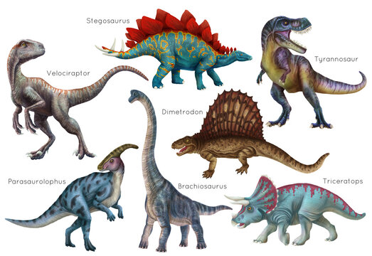 Fototapeta Dinosaur set. Stegosaurus, Dimetrodon, Velociraptor, Triceratops, Brachiosaurus, Tyrex, Parasaurolophus