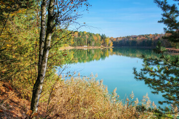 Fototapeta na wymiar Herbstwald am See - Autumn forest by the lake