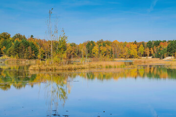 Herbstwald am See - Autumn forest by the lake - 582278436