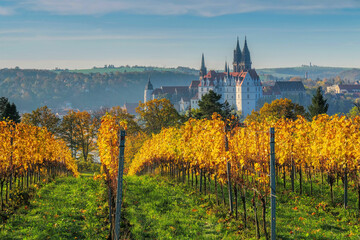 Blick über herbstliche Weinberge auf die Stadt Meissen in Sachsen, Deutschland - view over autumn vineyards to the city of Meissen in Saxony - 582278456
