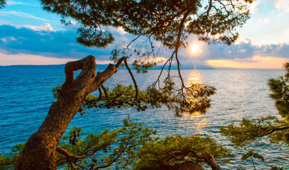 picturesque summer scenery, Brela - croatian resort, Makarska riviera, Dalmatia, Europe	