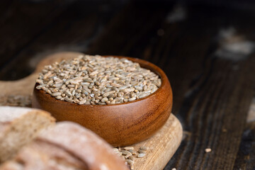 Rye grain for making flour and bread