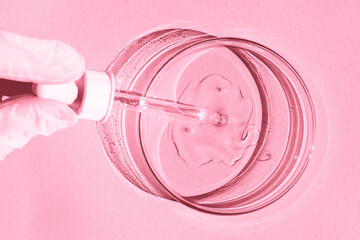 Petri dish. With transparent gel. A gloved hand holds a dispenser, a pipette. On a pink background.