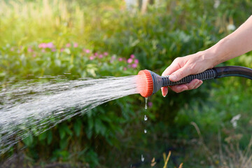 The gardener's hand holds a hose with a sprayer, watering plants in a green garden. 