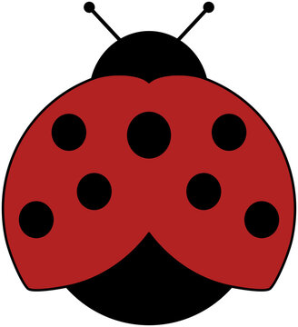 Ladybug icon for web, app,... Cartoon illustration. Icon isolated on transparent background.