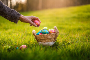 Easter eggs in basket in grass. Easter egg hunt, hand placing eggs in grass for hiding for children. Morning magical light. Spring holidays season, chocolate colorful decorated eggs