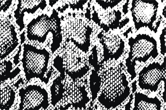 Snake print Vector Illustration, SVG