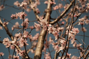 Printemps 2023, Paris