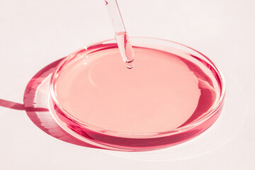 Petri dish. With pink liquid. With solution. Pipette dripping from above. On a white background.