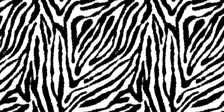 Seamless zebra skin or tiger fur stripe pattern. Tileable monochrome bold black and white African safari wildlife background texture. Abstract trendy boho chic fashion animal print camouflage motif.