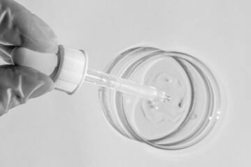 Petri dish. With transparent gel. A gloved hand holds a dispenser, a pipette. On a white background.